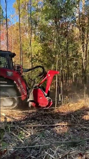 Forestry Mulcher Operation D Destroying Thick Trees With Ease
