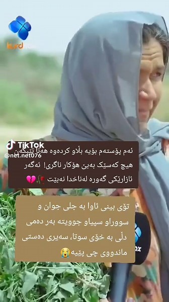 🤣🤣پێبکەنە🇸🇪 (@net.net076)s videor med original sound - عومەر میشیاوی