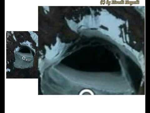 1201+890 南極のエイリアン基地 Aliens Bases in Antarctic Continent by Hiroshi Hayashi, Japan