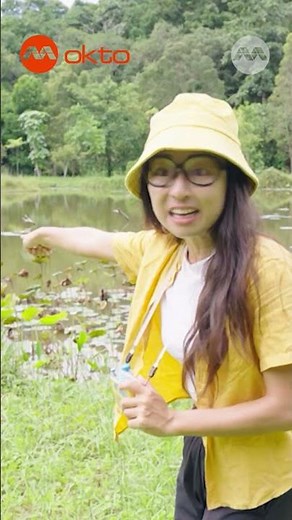Spotting a Rare Sultan Dragonfly! 🔍✨ | Wildlife Snap! Shorts