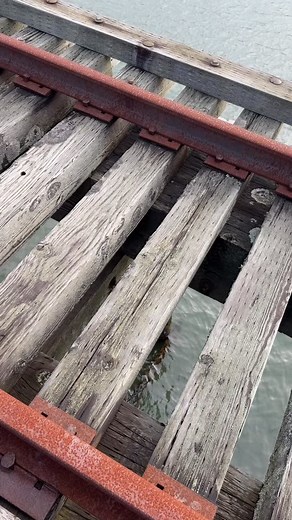 31 reactions | Astoria, Oregon Riverwalk fall vibes. Salty Raven is open 11-5 everyday! Astoria * Cannon Beach * Tillamook Saltyraven.net #astoria #astoriaoregon #astoriariverwalk #fall #fog #photography #oregonartist #oregoncoast #oregon #bestoforegoncoast #bestoforegon #westcoast #pnw #saltyraven #saltyravencannonbeach #saltyravenastoria | Salty Raven Astoria | Facebook