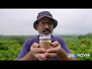 Sesame Street: Cookie Monster's Foodie Truck- Cinnamon