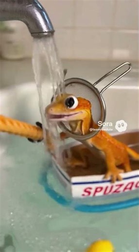 Gecky bathtime adventure 3