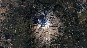 Plate tectonics set the thermostat for early animal life