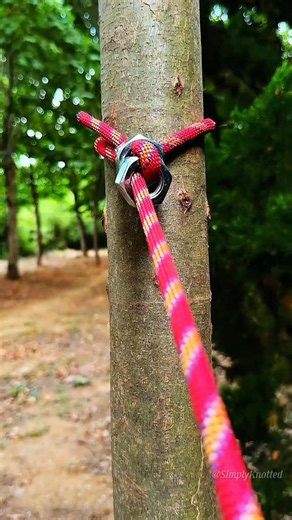 The Improvised Hex-Nut Anchor 🔩 Dual-nut friction matrix for instant tree rigging.