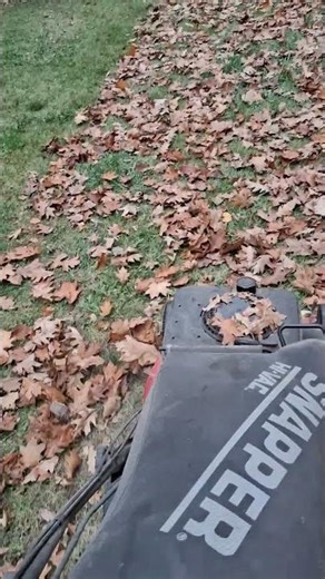 snapper hi-vac beast mode in oak leaves #powertools #lawnmowers #landscape