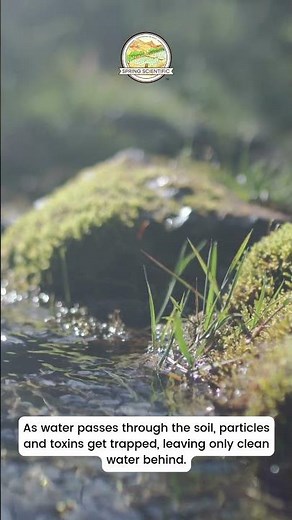 Spring Scientific: How Soil Filters Water & Protects Groundwater | Nature’s Water Purifier 💧🌱