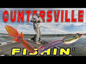 Key Baits For Fishing The Fall Transition + Fishing On Lake Guntersville!