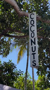 cocoNUTS for these coco bowls at the Port Douglas Sunday markets! 便...