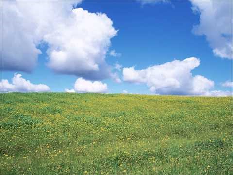 【癒しBGM】朝の目覚め（さわやかな）曲