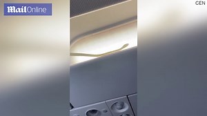 Slithering snake inside plane forces pilot to make emergency landing