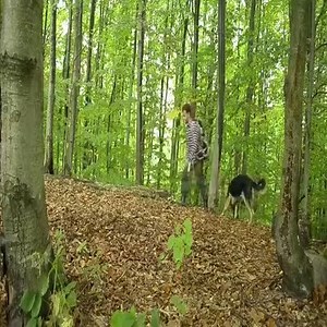 16K views · 273 reactions | Fairy house in the forest. From start to finish | وي كافية - We Cafe | Facebook