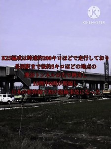 東北新幹線200系K25編成#shorts #鉄道 #鉄道事故