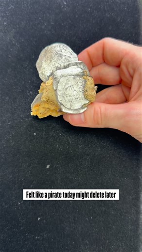 Massive Clump of Encrusted Macuquinas (Spanish Silver) In the 1600s the Spanish empire made crude “cob” coins by hammer striking a planchet. When transporting the coins over seas sometimes the ship would sink, and leave the coins at the bottom of the ocean. After time the coins begin to fuse with their environment and come out in all sorts of cool arrangements like this! Follow for more shipwreck artifacts #shipwreck #clump #macuquinas #cobtype #mexicansilver #spanishtreasure #pirate #fyp #premi