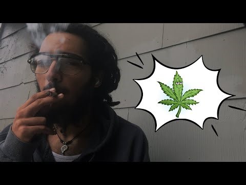 Spliff Thoughts: 3.5 Gram Black Gorilla 🍃 Sesh