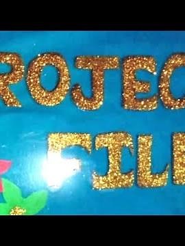 class 12 Political science project file CBSE board (Topic - vaishvikaran)