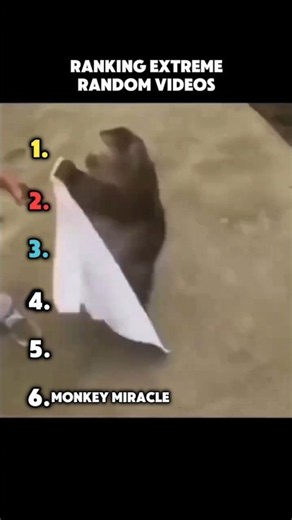 ranking extreme random videos