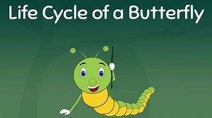 Do you know how a butterfly comes to life? All animals change as they grow and mature but butterflies undergo the biggest change of all. In our chapter "Life cycle of a Butterfly" we talk about the different stages of a butterfly's life cycle. If you're interested in learning about them, read the full chapter on our website: https://epaath.olenepal.org/start.html?id=scibuf01&lang=en&grade=5 #digitallearning #accessibleeducation #butterfly #lifecycleofabutterfly | Open Learning Exchange (OLE) Nep