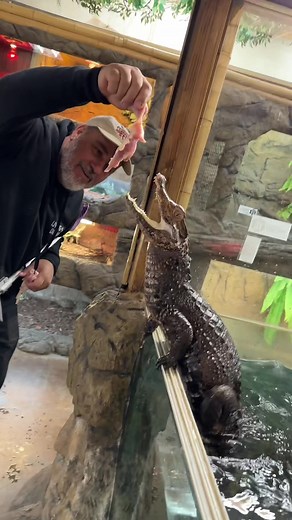 Feeding Prehistoric Animals at the Zoo