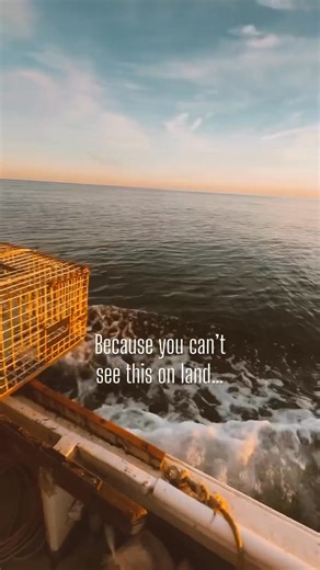 Lobstering is not just about catching lobsters—it’s about the magical marine world you become a part of. As you navigate the waters, you’re surrounded by a stunning array of sea life. You never know what you’re going to see out there and that’s my favorite part of the job. Lobstering is not just a means of livelihood, but an exploration and appreciation for the rich biodiversity of the sea; It’s a way of life 🌊🦞 . . . . . . . . . . . . . . . . . . . . . . . . . . . . #lobstergirl #lobsterwoman