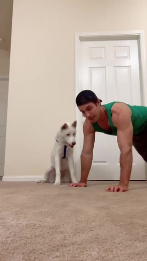 How long will it take him to do this with me. #comedy #funny #dogs #puppy