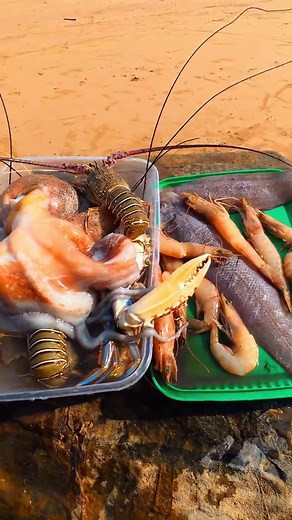 Ultimate Guide to Lobster Fishing Techniques