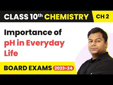 Importance of pH in Everyday Life - Acid, Bases and Salts | Class 10 Chemistry