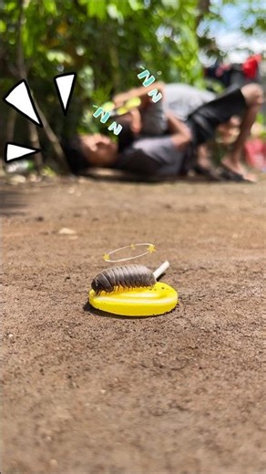Best dreams, The pill millipede is dizzy while a father and his child snore in their sleep
