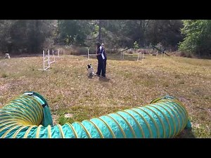 Training Tuesday: Tunnel Discrimination