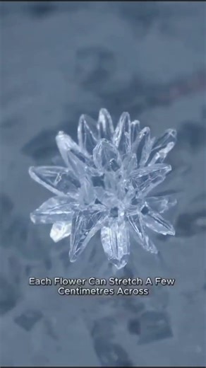 Ice Ocean vs Ice Crystals #ice #ocean#science#nature #sciencefacts#trending #viral #unfrezzmyaccount