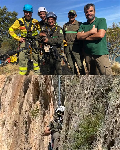 Hawk Mountain Sanctuary Association on Reels