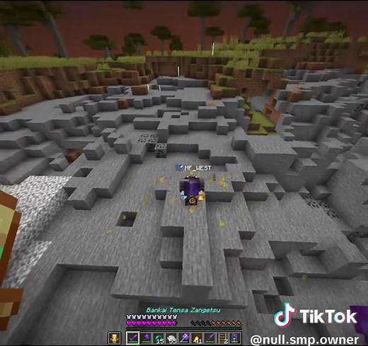 Join the Null SMP Community Today!