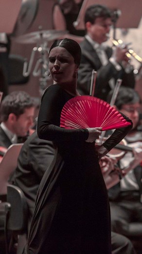 Sara Martín Flamenco on Reels