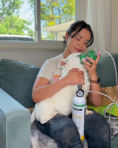 Vet-approved, portable oxygen support for dogs with CHF, collapsed trachea, or other respiratory conditions. No prescription required- get your pet to care, with time to spare. | Pawprint Oxygen