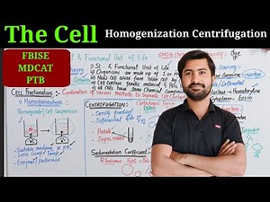 The Cell - Chapter 1: Cell Fractionation, Homogenization & Centrifugation | Class 11 Biology | FBISE