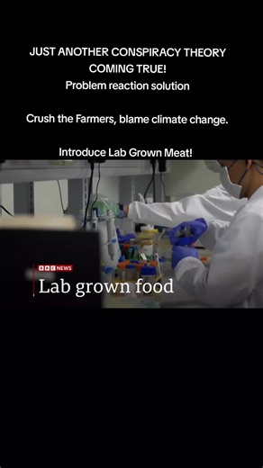 Lab Grown Meat: The Future of Food in Supermarkets