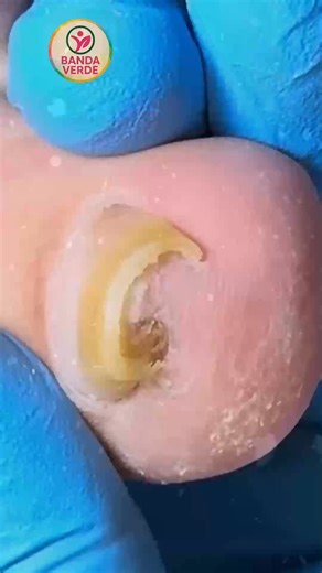 153K views · 993 reactions | Ep.1681 Weekly plan organizes label reading in stores #FoodLabelTips #HeartHealthyDiet #SmartNutrition | Banda Verde | Facebook