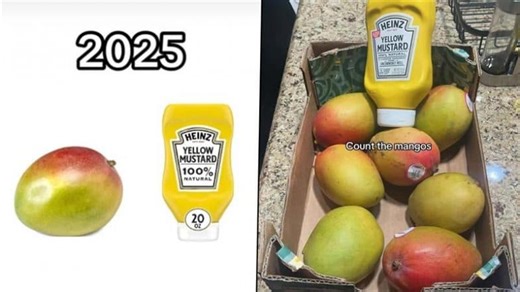 What is the Mango Mustard Trend? A New Weird Food Combination or 67 Joke? Know the Meaning of Viral Gen Alpha Meme | 👍 LatestLY