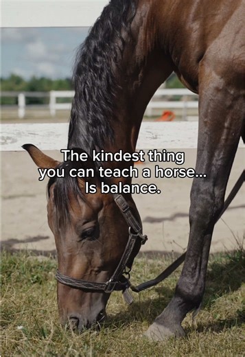 It’s not about more training. It’s about better balance. We try to fix behavior before we fix balance. We label the problem instead of understanding it. Most behavior problems come from poor balance and too much pressure. When you change that, training feels lighter, clearer, and actually possible. That’s why we created Harmony in Hand — for riders who are tired of chasing symptoms. Working harder and harder, but not seeing that calm, confident horse you know is hiding behind the spooks & resist