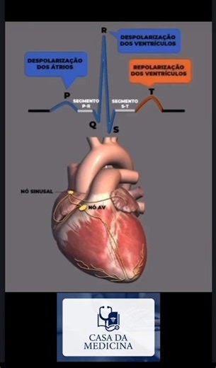 Como Funciona o Eletrocardiograma (ECG)? Entenda as Ondas e o Ritmo Cardíaco!