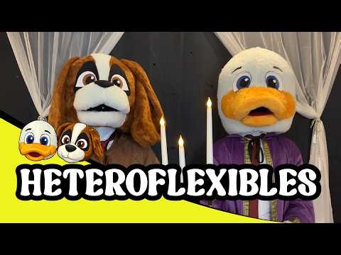 HETEROFLEXIBLES