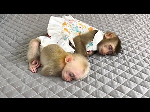 Tina and Xuka played happily and fell asleep when their mother returned home.