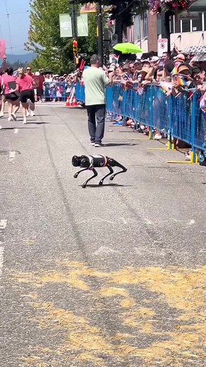 Trashdotnet (@trashdotnet)’s videos with