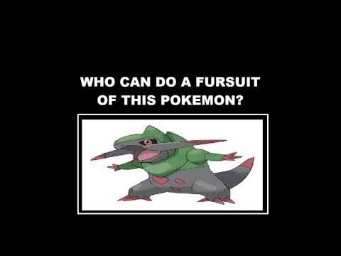 New Pokémon Fursuit Requests By ChaoEmperor Fraxure (Who Can Make One?)