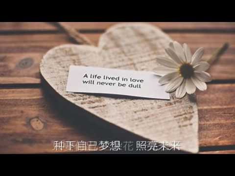 SMAP 『世界に一つだけの花』 - 中国語Cover 『世界上唯一的花』