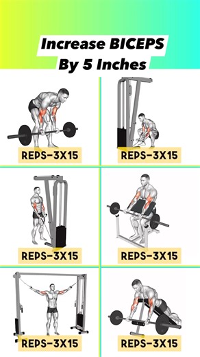 347K views · 2.8K reactions | Increase Biceps by 5 inches | Manu Gupta Fitness | Facebook