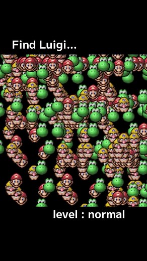 Find Luigi: The Ultimate Mario Challenge