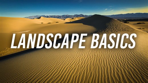 Landscape Basics