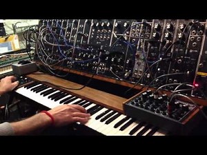 Doepfer A100 v Moog Modular