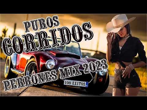 Las 50 Mejor Puros Corridos Perrones Mix 2024 Para Pistear